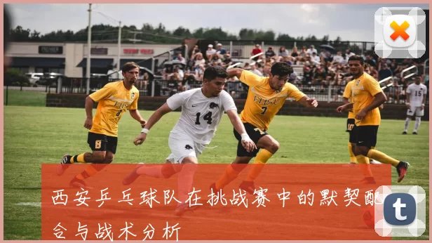 西安乒乓球队在挑战赛中的默契配合与战术分析