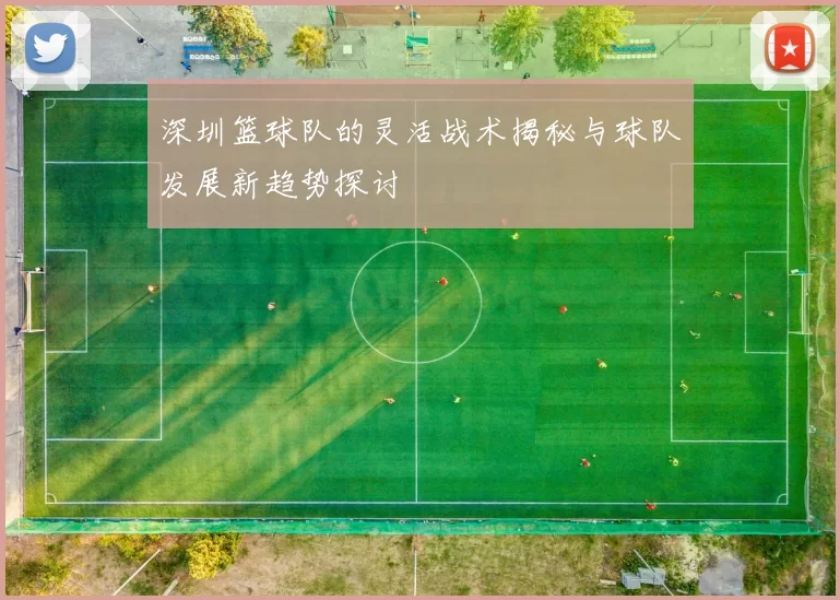 深圳篮球队的灵活战术揭秘与球队发展新趋势探讨