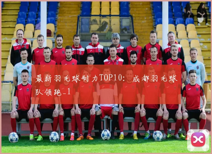 最新羽毛球耐力TOP10：成都羽毛球队领跑_1