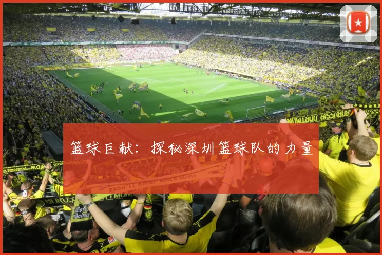 篮球巨献：探秘深圳篮球队的力量