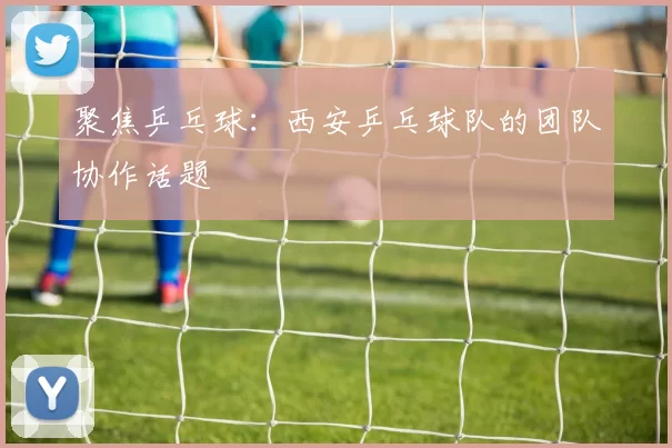 聚焦乒乓球：西安乒乓球队的团队协作话题